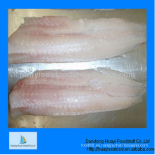 Congelado barato alaska pollock filete precio favorable